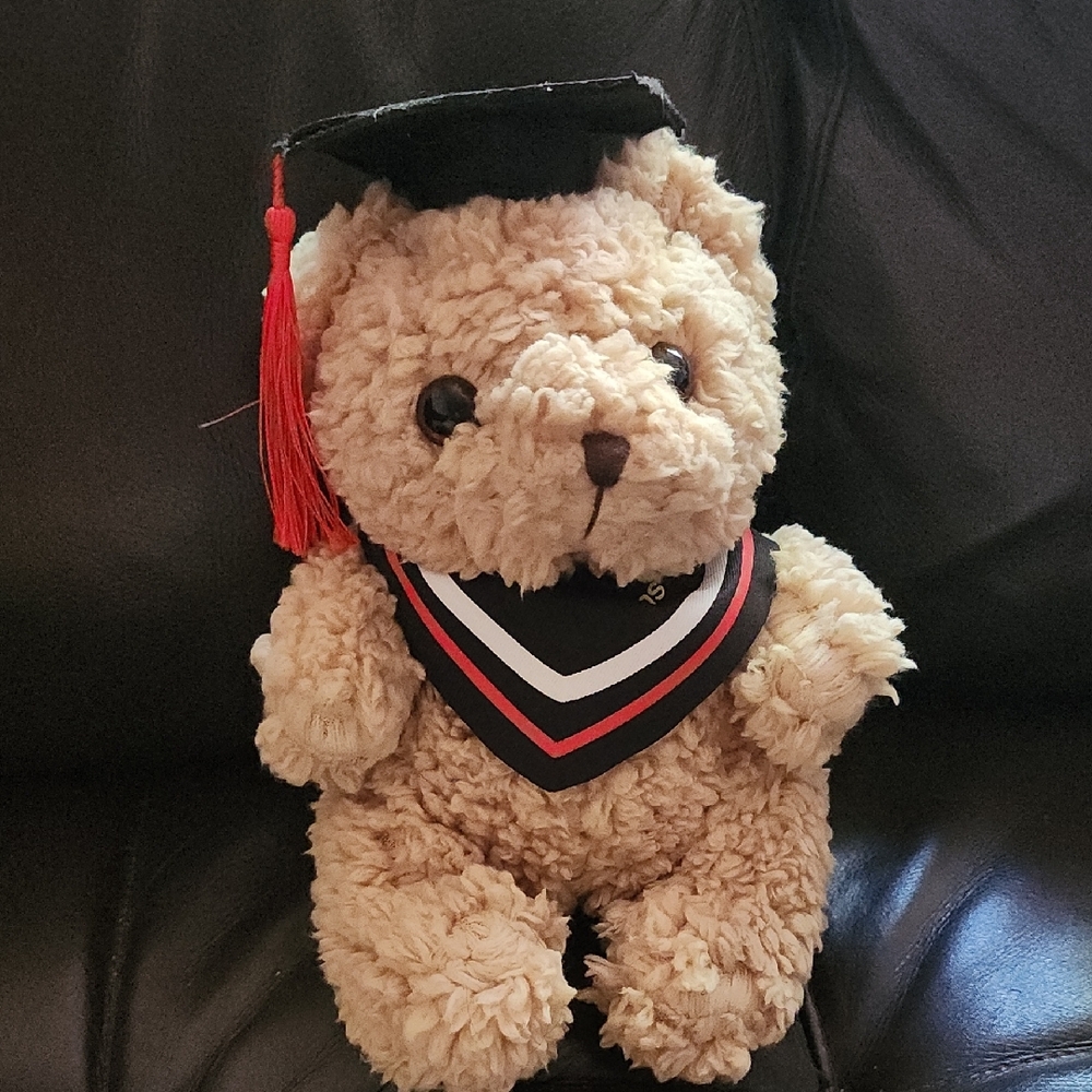 Brand New Graduation Teddy Bear with Cap and Gown (Red)